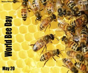 пазл Всемирный день пчел